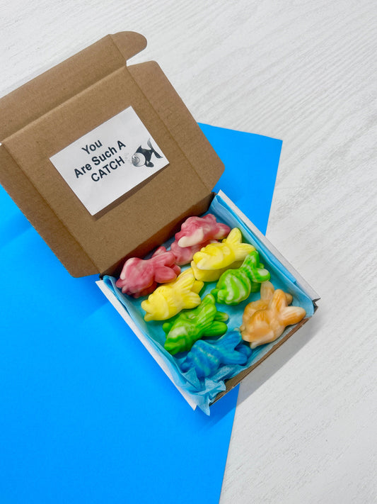 You are Such a Catch Box - Postal Sweets - Postal Treats - Swirly Fish - Jelly Fish - Fruit Jellies - Sweet Treats - Mini Treat Box - Fishes